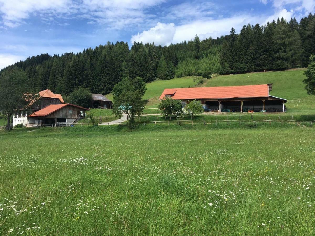 Urlaub Am Moarbauerhof Apartment Muhlen  Bagian luar foto